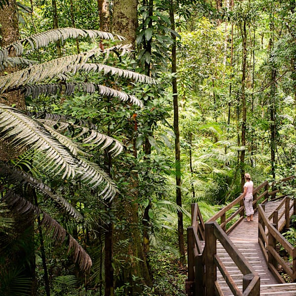 Australië cityhoppen: Sydney, Melbourne & Cairns