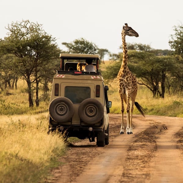 Tansania: Serengeti, Safari, Sansibar!
