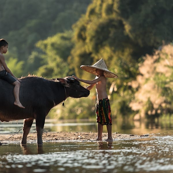 2 for 1 Vietnam: Rice & Shine von Trekking zu Drachen