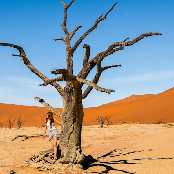 Namibia Roadtrip: Kalahari, Namib & Etosha