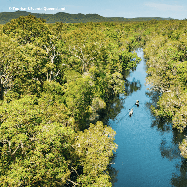 Australië roadtrip: naar zee & regenwoud via Queensland