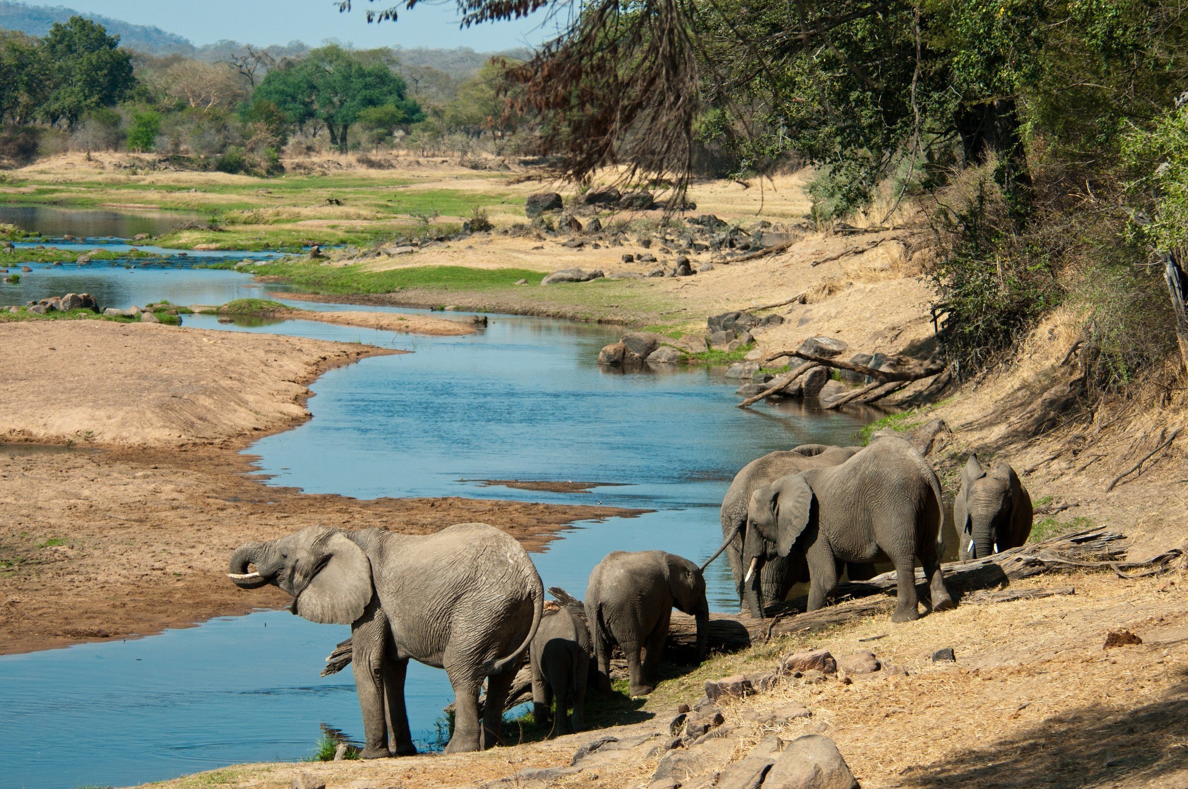 von sansibar nach tansania safari