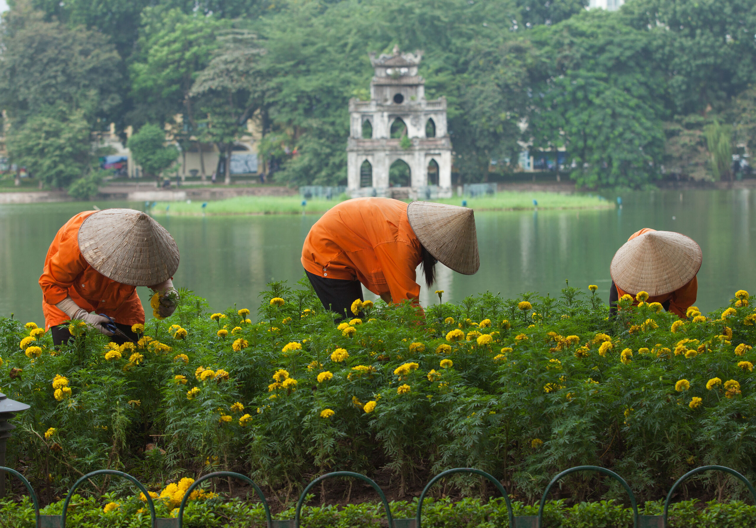 Best Of Vietnam Rundreise Buchen Journaway Com