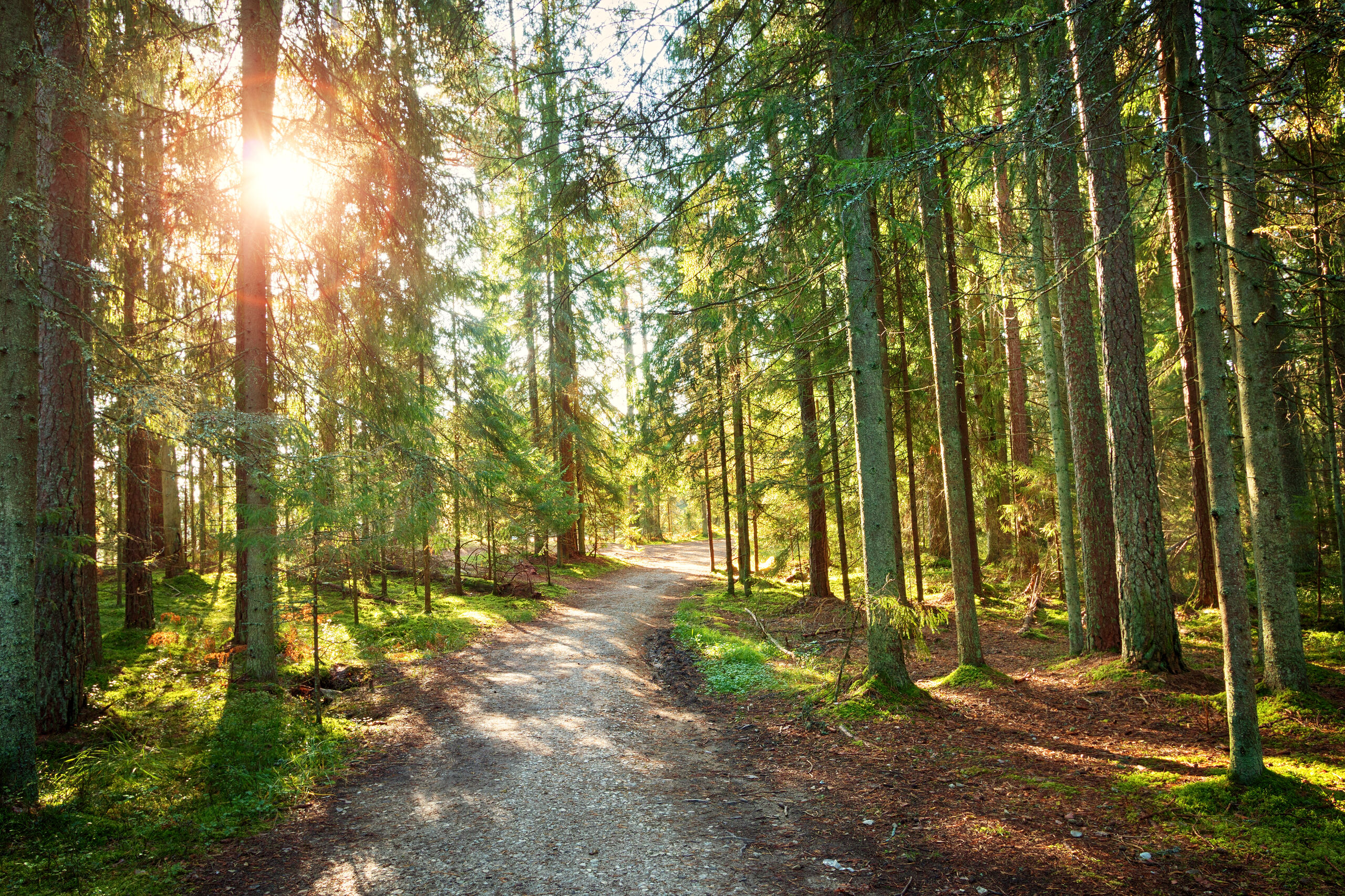 Lettland Estland Roadtrip Rundreise buchen