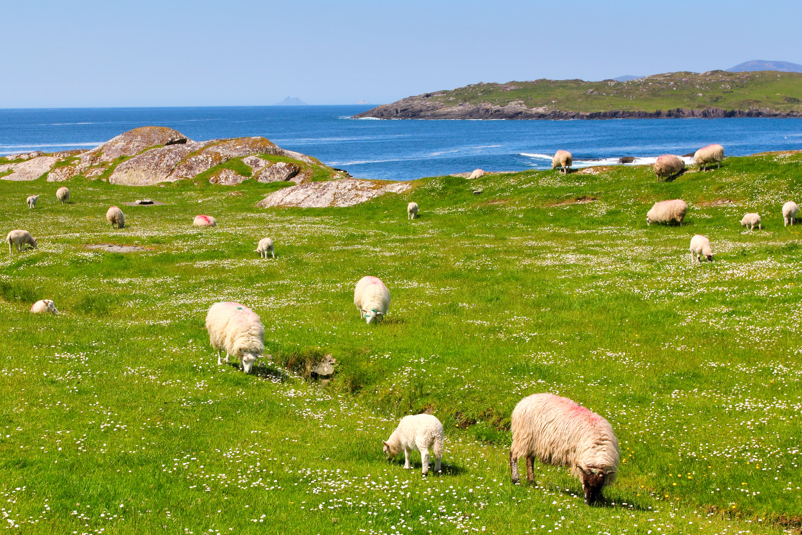 Irland kennenlernen