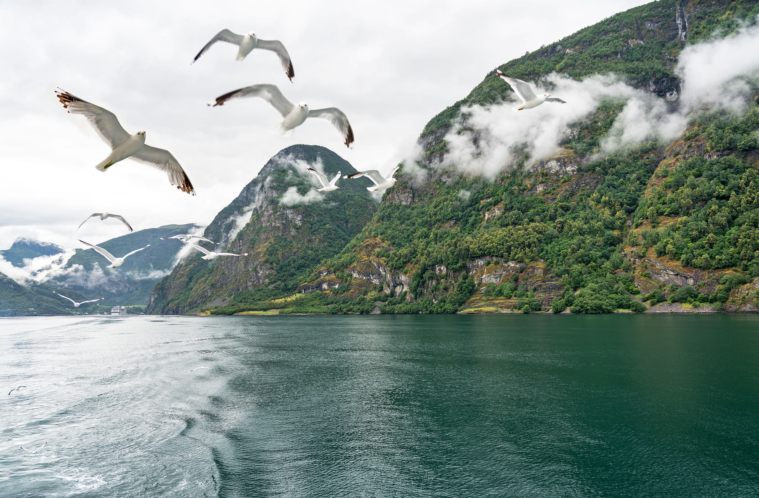 Norwegens bezaubernde Fjordküste mit Bahn und Schiff