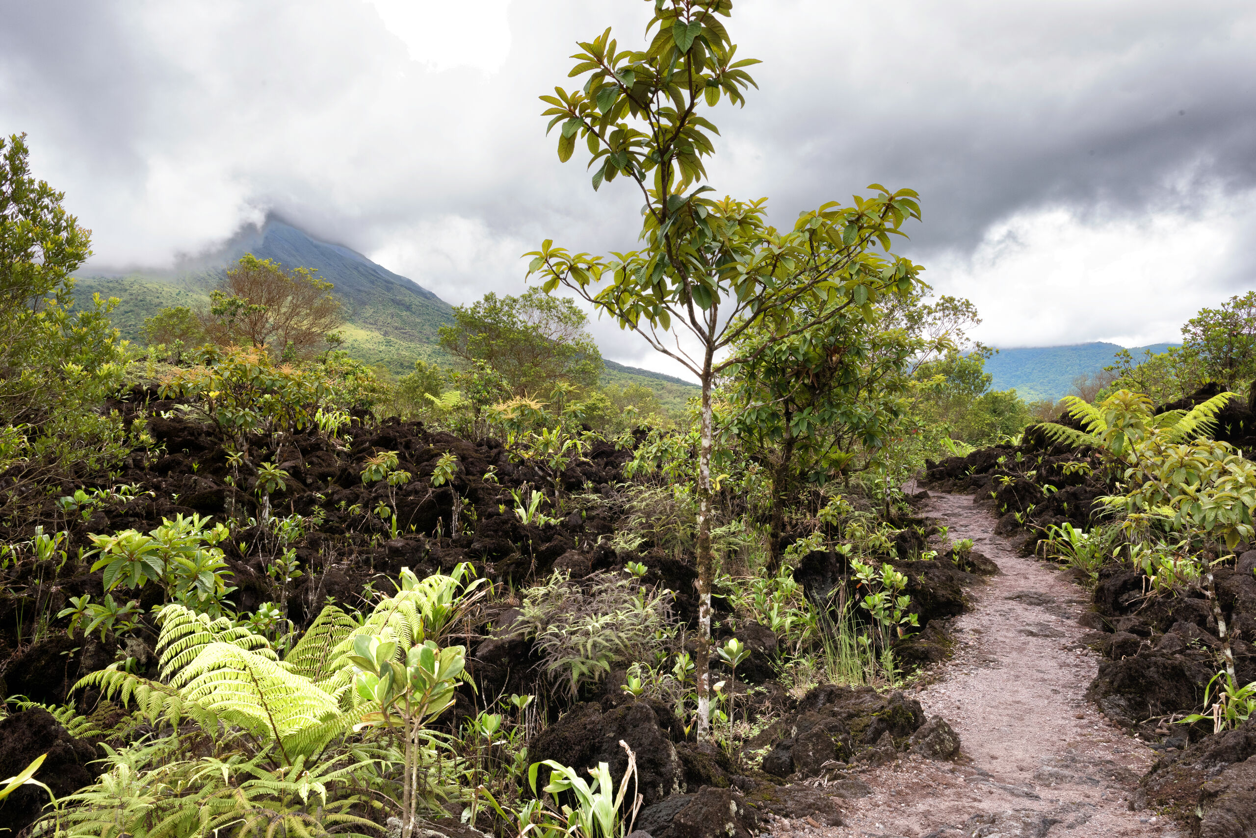Costa Rica Roadtrip Rundreise buchen