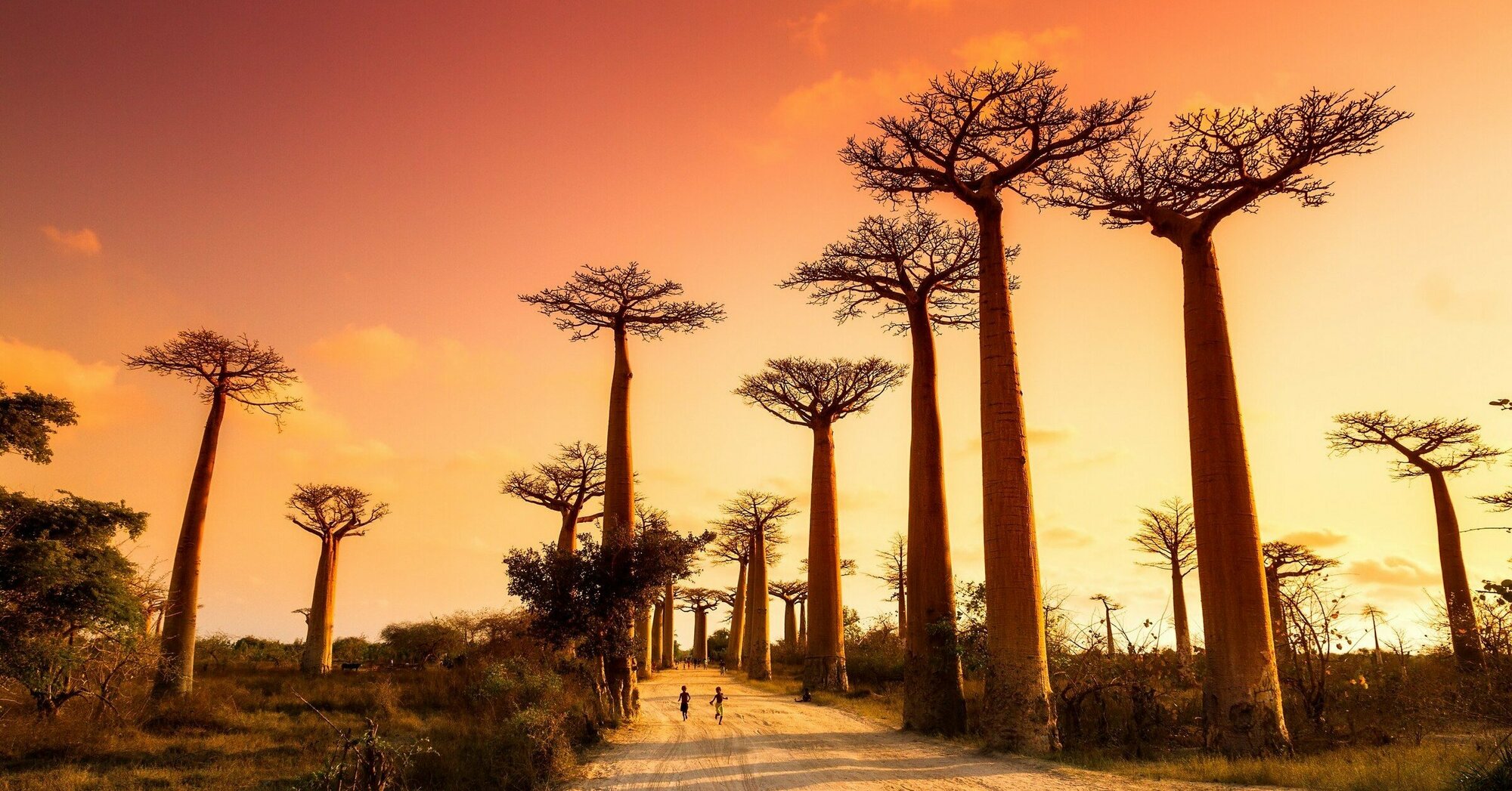 Madagaskar Rundreisen Jetzt Termine für 2024/2025 buchen