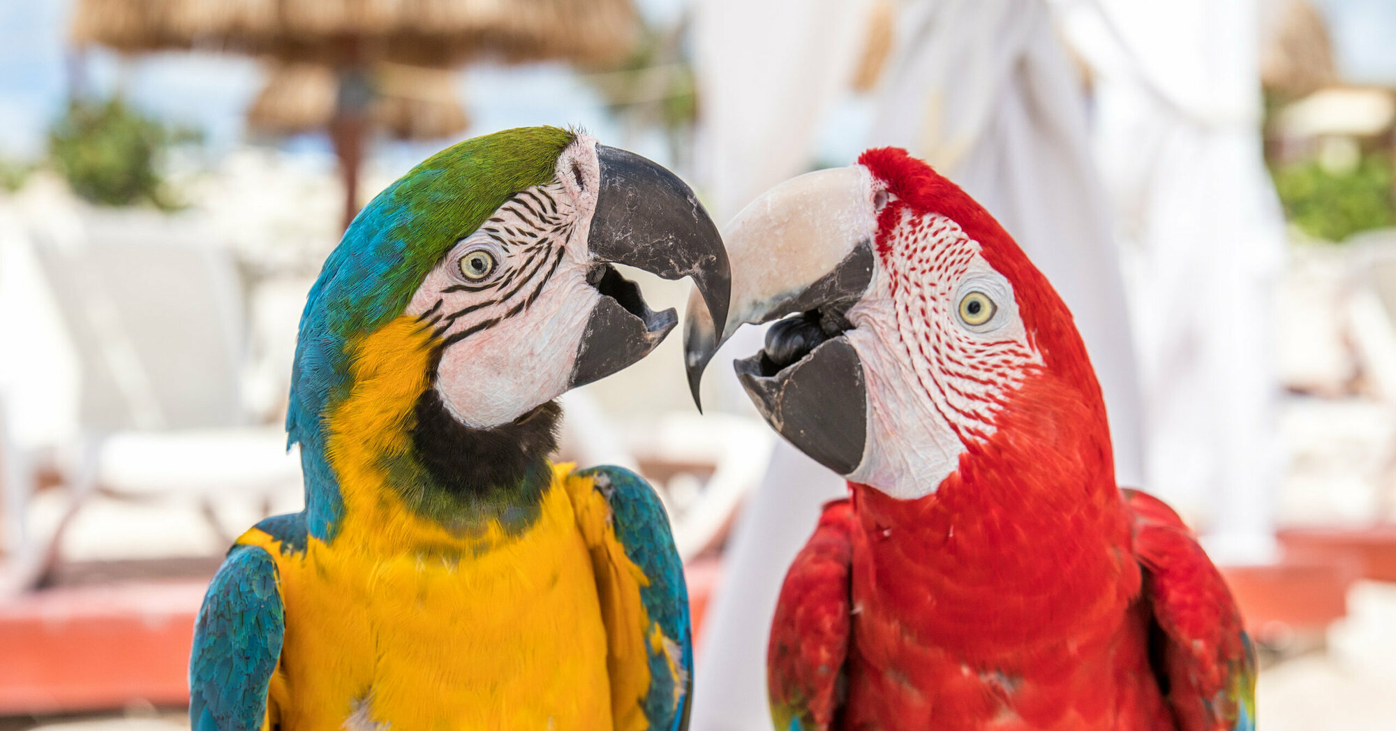  Jetzt Termine für 2025/2026 buchen Motiv 