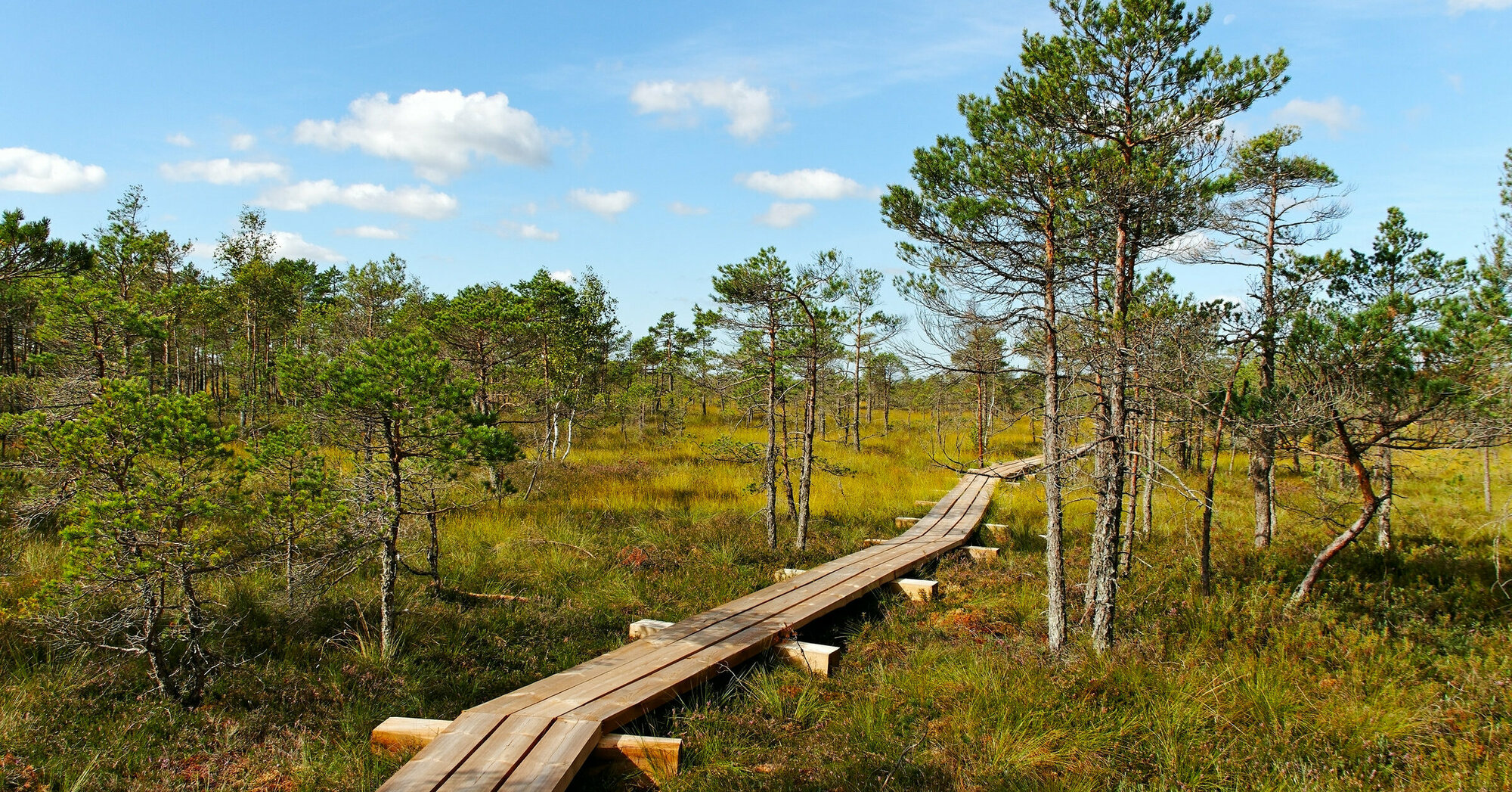 59 Lettland Rundreisen Jetzt Termine F r 2022 2023 Buchen Journaway
