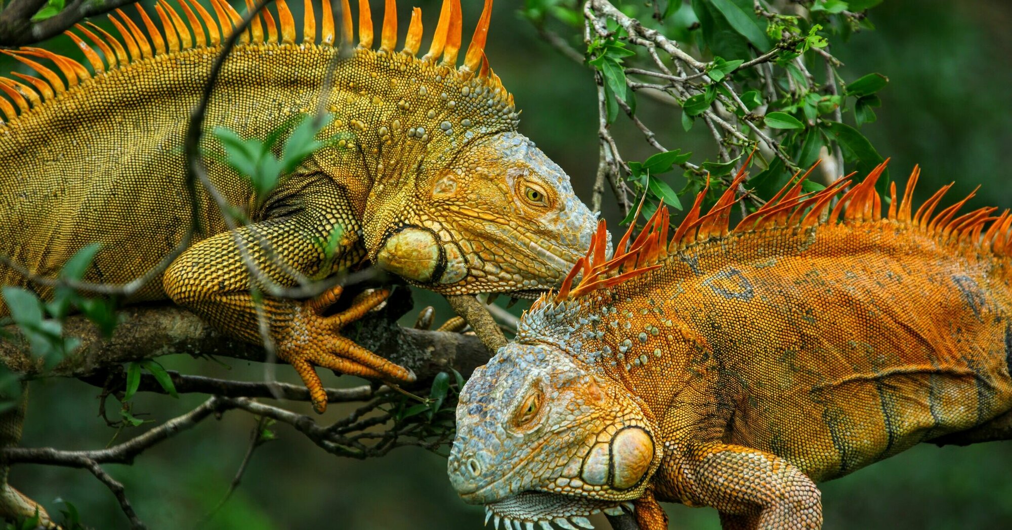  Jetzt Termine für 2025/2026 buchen Bildidee 