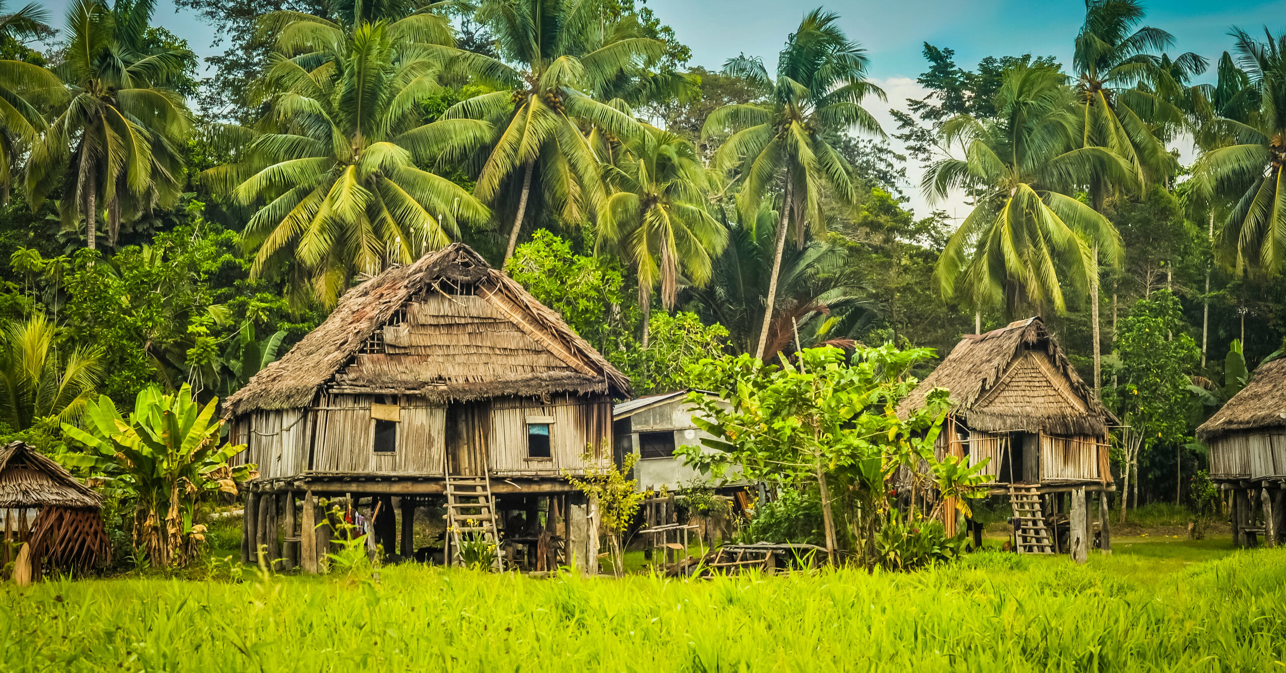 PapuaNeuguinea Rundreisen Jetzt Termine für 2021/2022 buchen journaway