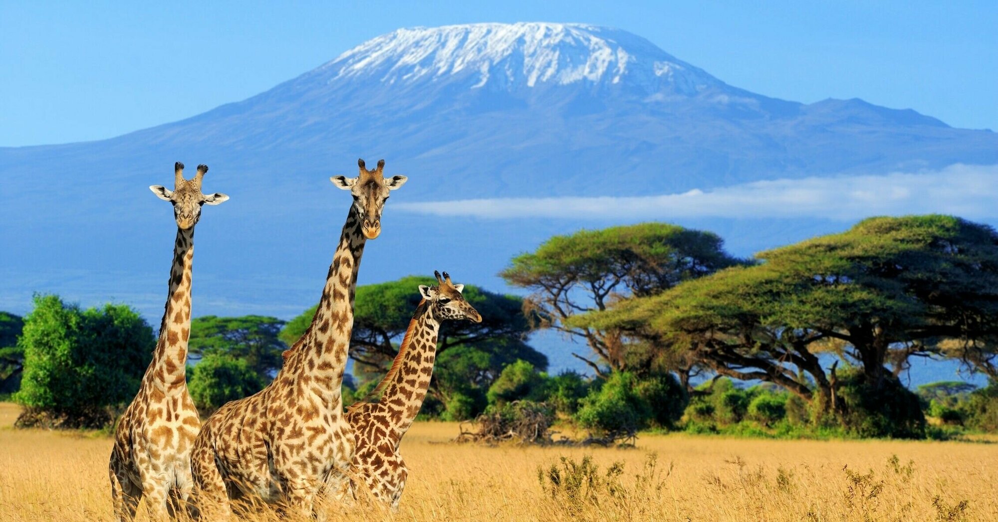 safari rundreise kenia tansania