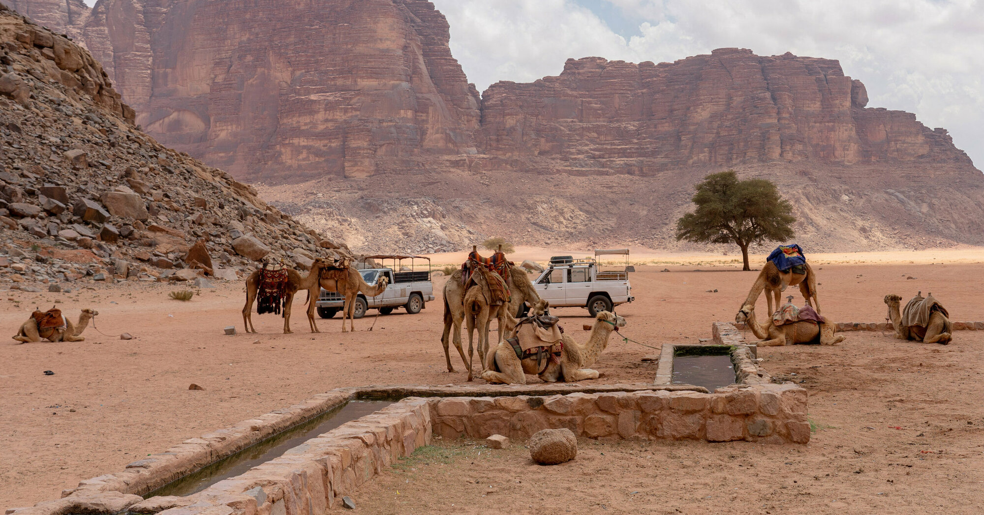 113 Jordanien Rundreisen Jetzt Termine F r 2023 2024 Buchen
